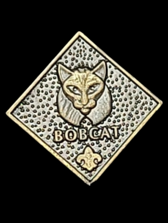 Scouting America Other - BOY SCOUTS OF AMERICA BOBCAT UNIFORM LAPEL PIN